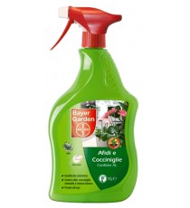 GOBBI INNESTISSIMO ECOLOGICAL PREPARATION FREE OF SOLVENTS AND